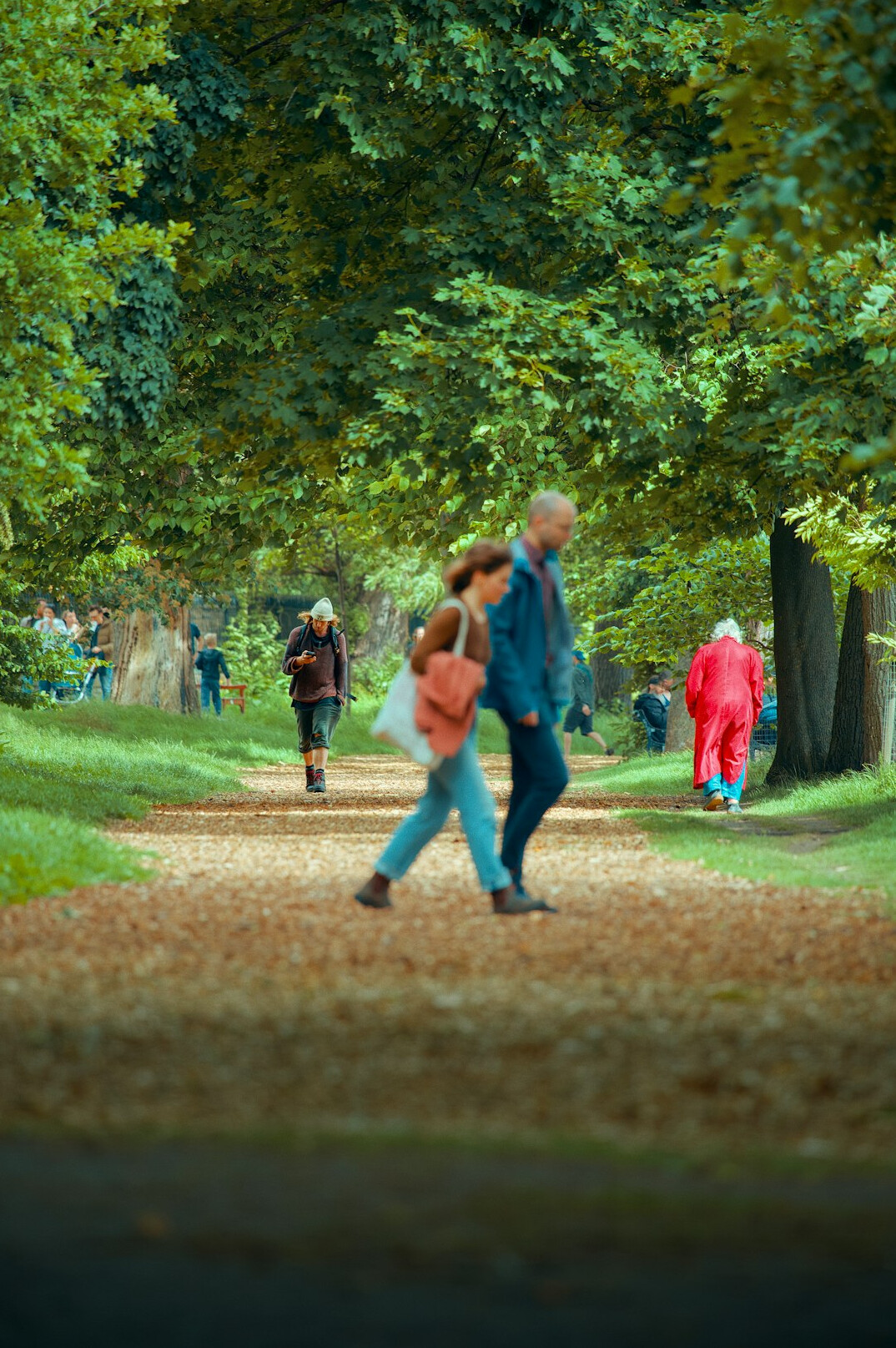 Group of seniors on an autumn walk in a park