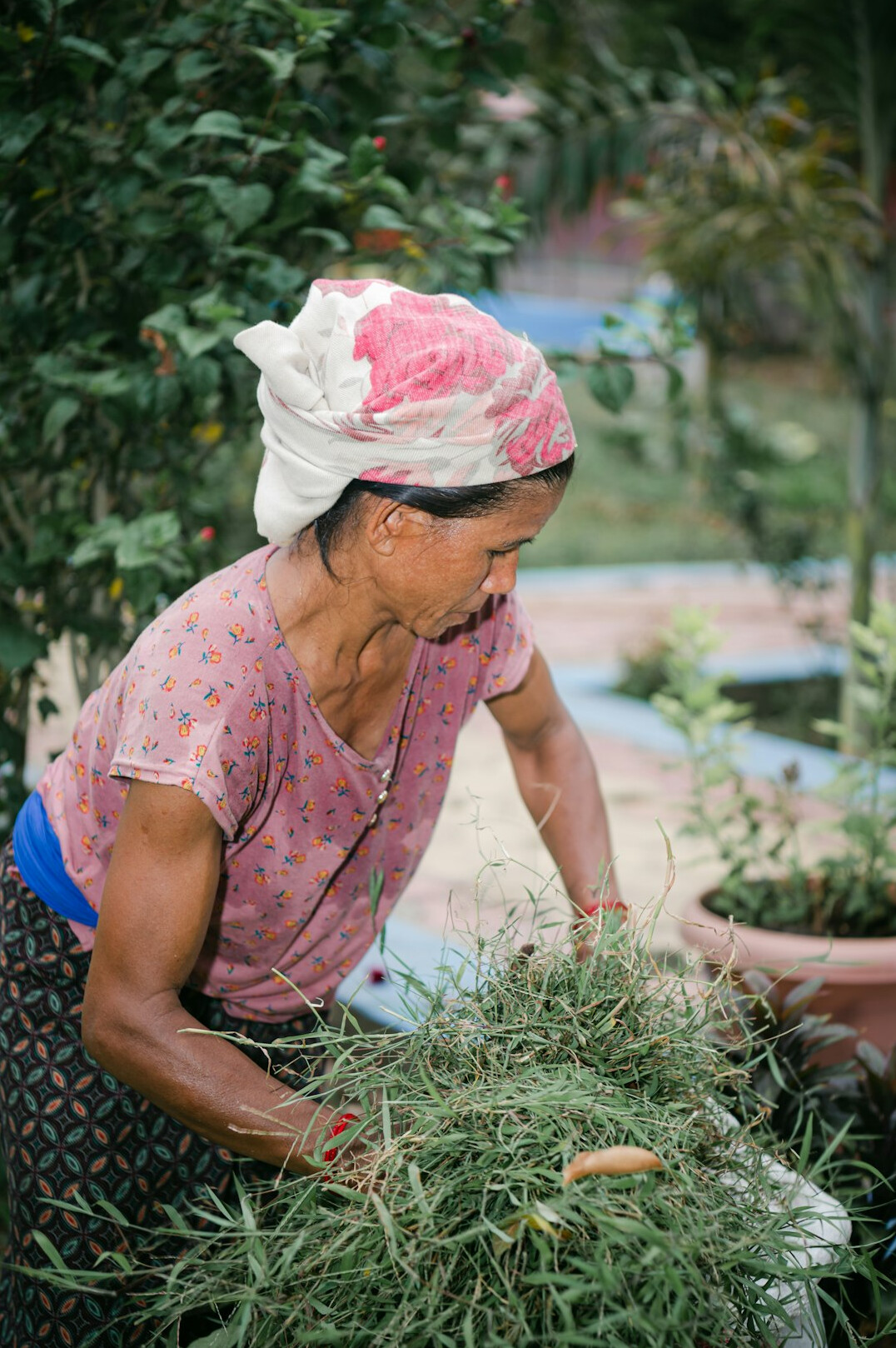 Portrait of a cheerful elderly Swiss woman holding a basket of garden vegetables