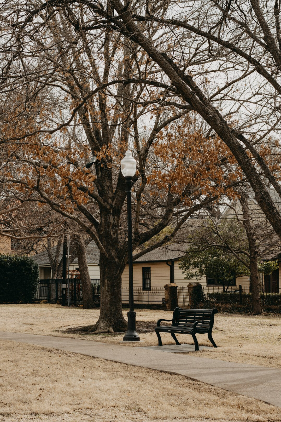 cozy senior neighborhood scene
