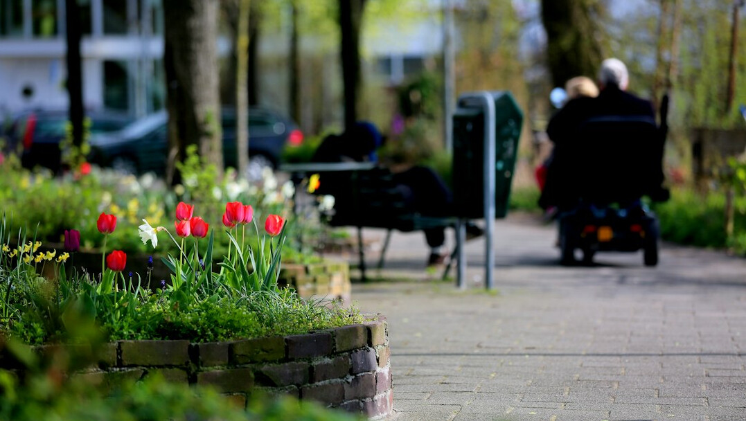 Elderly people gardening in raised beds in autumn