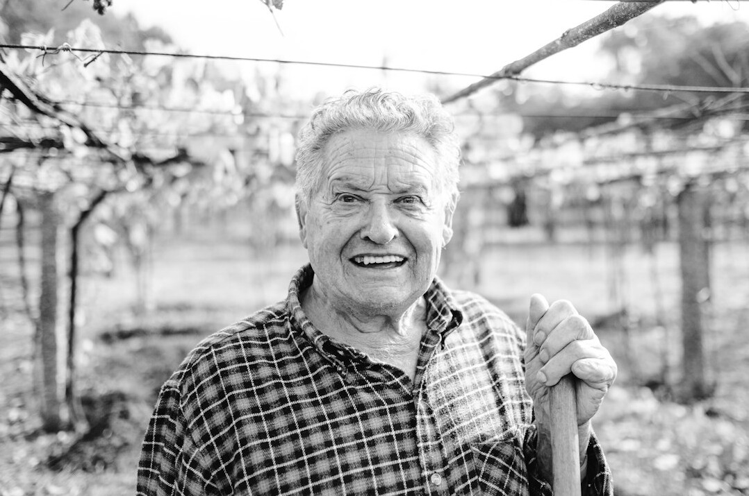 Portrait of a smiling elderly Swiss man with glasses and a green sweater